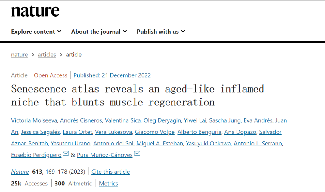 衰老圖譜揭示了類(lèi)似衰老的炎癥微環(huán)境，阻礙了肌肉再生