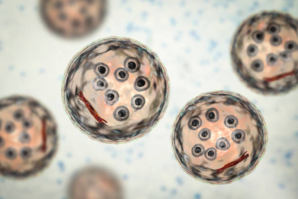 誘導多能干細胞衍生的細胞療法進(jìn)行人體試驗的研究