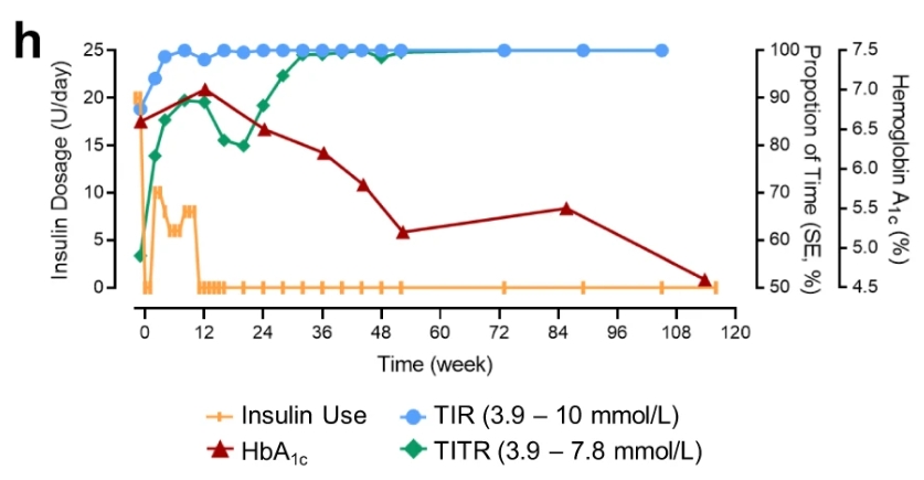 116周期間 TITR、TIR 和 HbA1c 以及胰島素劑量的臨床測量值