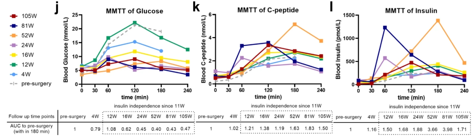 來(lái)自 MMTT 測定的血清空腹和進(jìn)餐刺激的循環(huán)葡萄糖、C 肽和胰島素水平