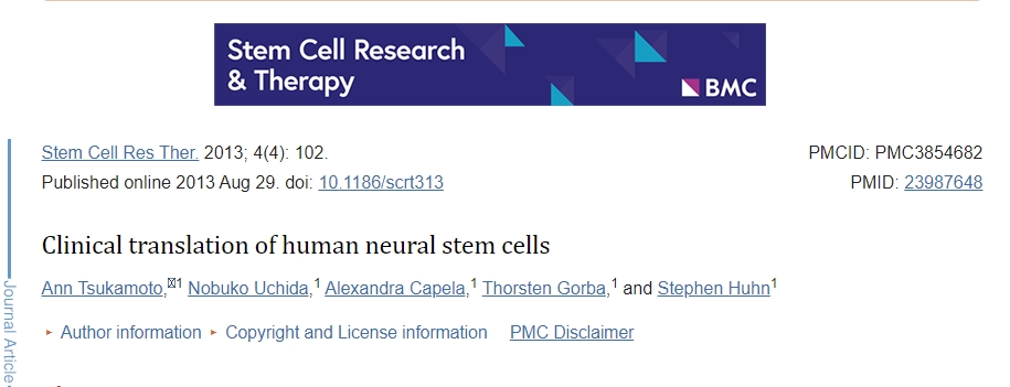 人類(lèi)神經(jīng)干細胞的臨床轉化