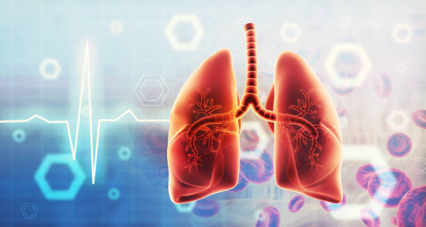 肺纖維化：干細胞治療是前進(jìn)的方向嗎？