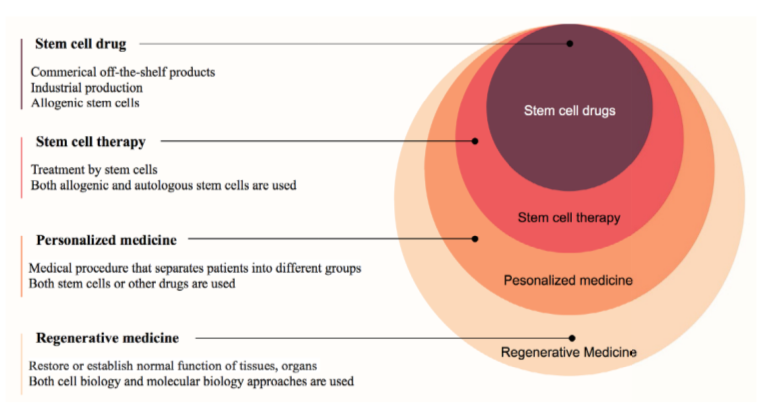 圖1：再生醫學(xué)中的干細胞藥物