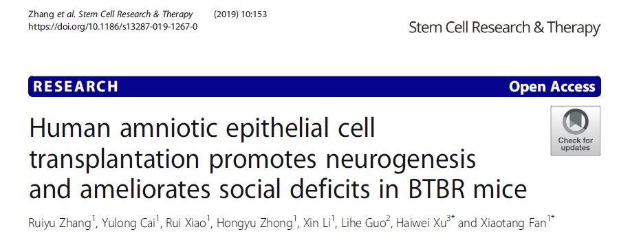 人類(lèi)羊膜上皮細胞移植促進(jìn) BTBR 小鼠的神經(jīng)發(fā)生并改善社交缺陷