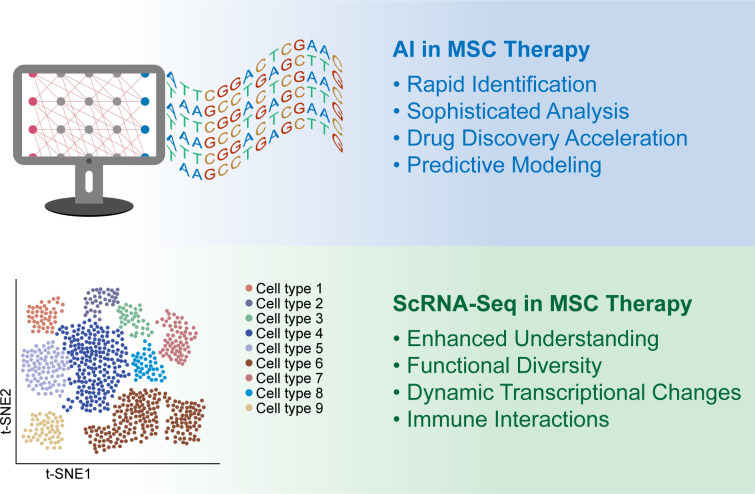 圖1：人工智能 (AI) 和單細胞RNA測序 (scRNA-seq) 用于增強間充質(zhì)干細胞 (MSC) 的臨床應用。
