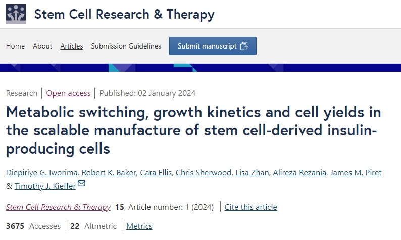 干細胞衍生的胰島素生產(chǎn)細胞的可擴展制造中的代謝轉換、生長(cháng)動(dòng)力學(xué)和細胞產(chǎn)量
