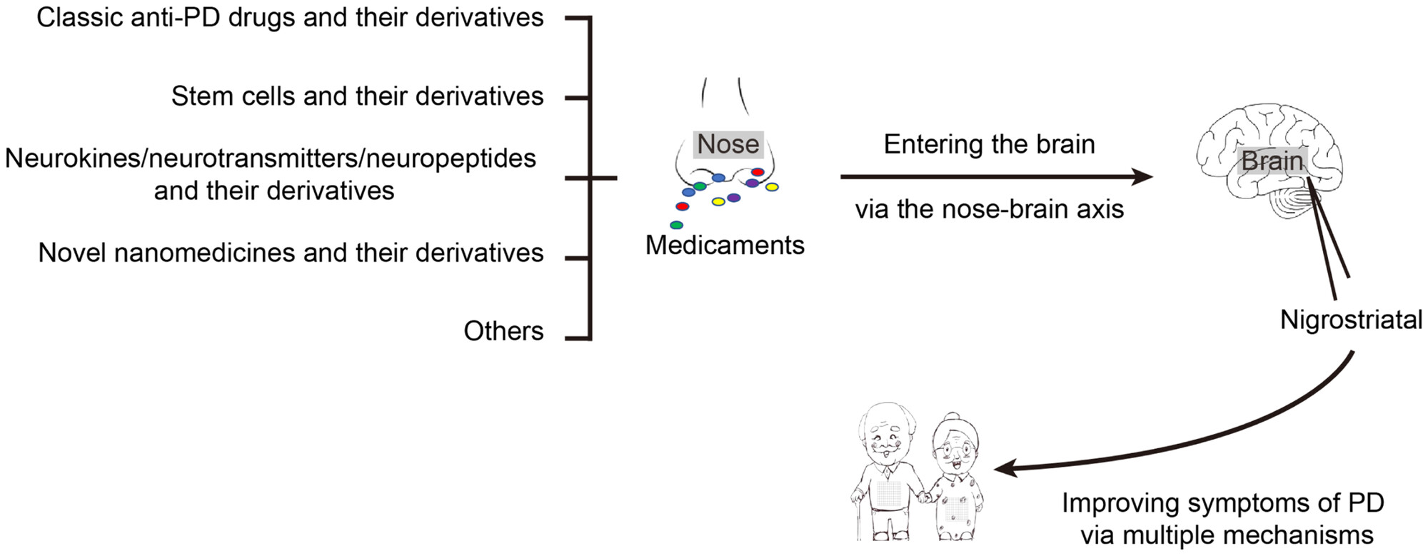 圖1：鼻內治療：帕金森?。≒D）的有希望的選擇