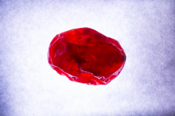 什么是血腦屏障？間充質(zhì)干細胞是否具備穿過(guò)血腦屏障的能力？