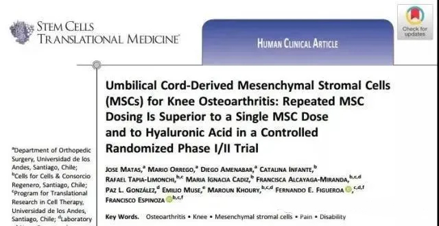 臍帶間充質(zhì)基質(zhì)細胞 (MSC) 治療膝骨關(guān)節炎：在一項隨機對照 I/II 期試驗中，重復 MsC 給藥優(yōu)于單次 MsC 給藥和透明質(zhì)酸