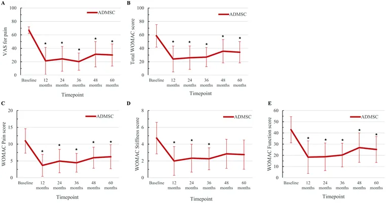 與對照組患者相比，在注射后6個(gè)月直至隨訪(fǎng)結束時(shí)，經(jīng)過(guò)間充質(zhì)干細胞臨床治療的膝骨關(guān)節炎患者膝骨關(guān)節疼痛程度更輕且膝骨關(guān)節功能狀態(tài)更好。