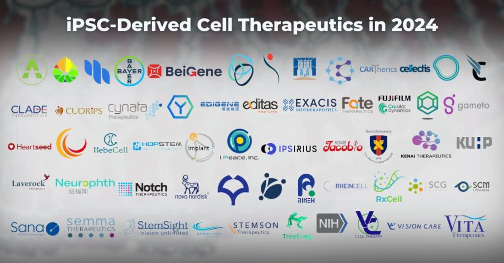 2024年研發(fā)iPSC細胞治療的公司有哪些？有哪些臨床試驗項目？