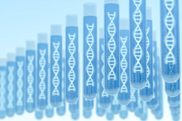 強直性脊柱炎基因檢測