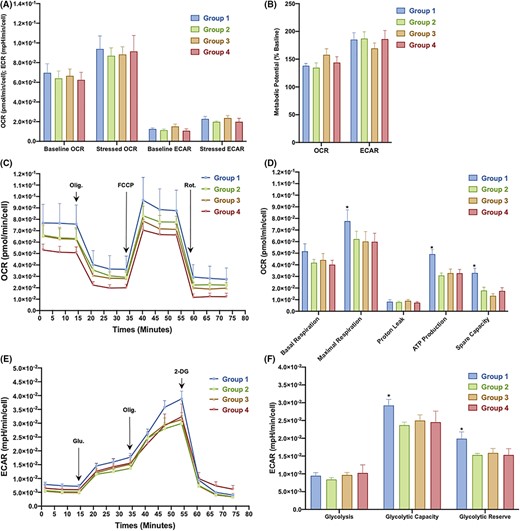 圖3：從對照組和2型糖尿病 (T2DM) 患者中分離的骨髓間充質(zhì)干細胞 (BM-MSC) 的代謝概況。