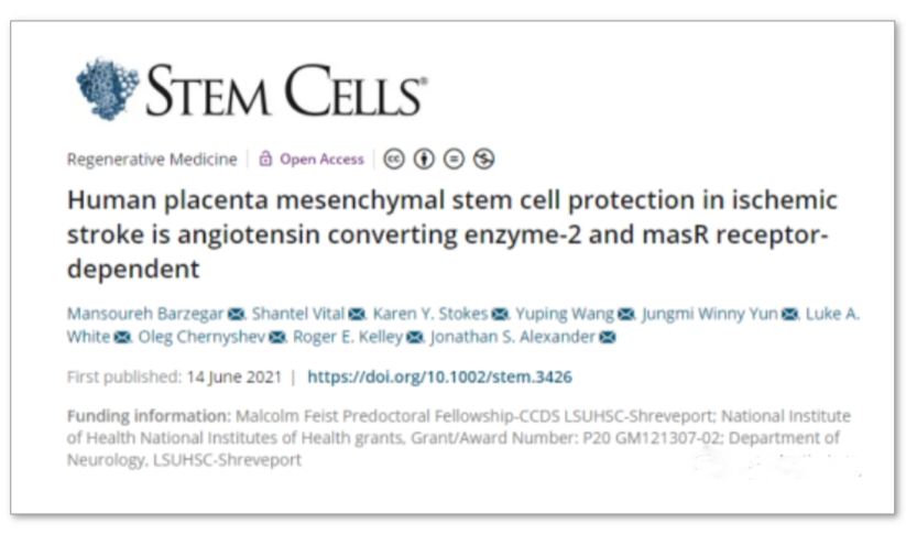 人胎盤(pán)間充質(zhì)干細胞對缺血性中風(fēng)的保護作用是血管緊張素轉換酶-2 和 masR 受體依賴(lài)性的
