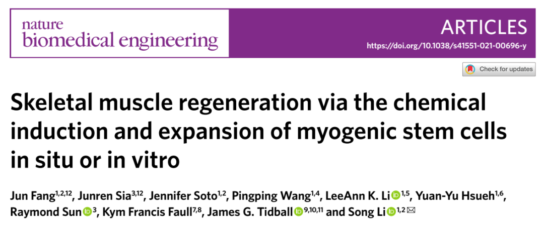 骨骼肌再生通過(guò)化學(xué)誘導和擴張的肌源性干細胞在原位或體外
