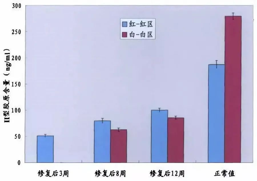 不同時(shí)間點(diǎn)修復組織紅-紅區與白-白區II型膠原表達量
