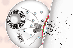 優(yōu)于傳統療法