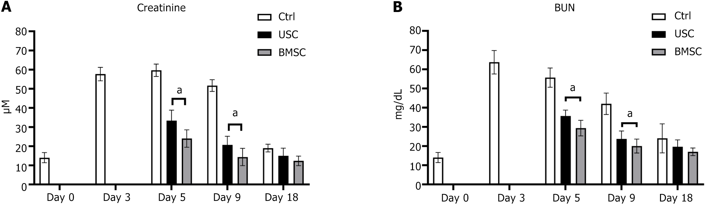 圖3：腎功能評估。