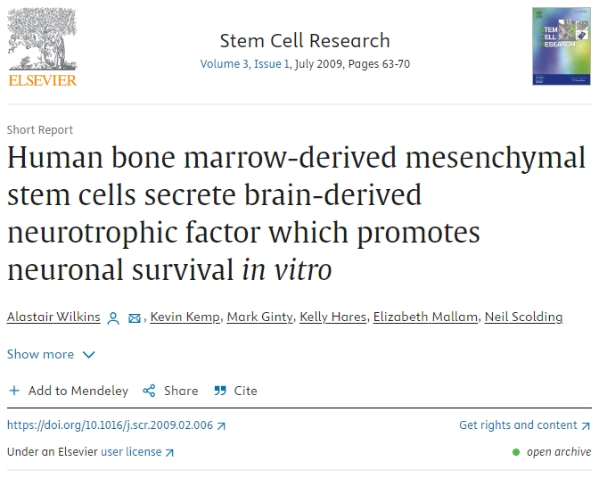 人類(lèi)骨髓間充質(zhì)干細胞分泌腦源性神經(jīng)營(yíng)養因子，促進(jìn)體外神經(jīng)元存活