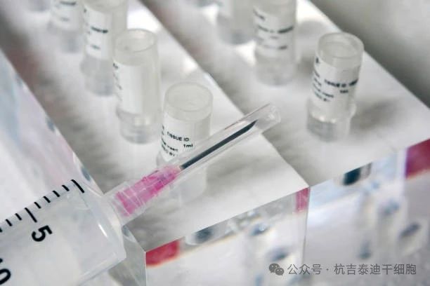 優(yōu)化間充質(zhì)干細胞移植的給藥途徑和常用劑量:現狀和新前沿 優(yōu)化間充質(zhì)干細胞移植的給藥途徑和常用劑量:現狀和新前沿