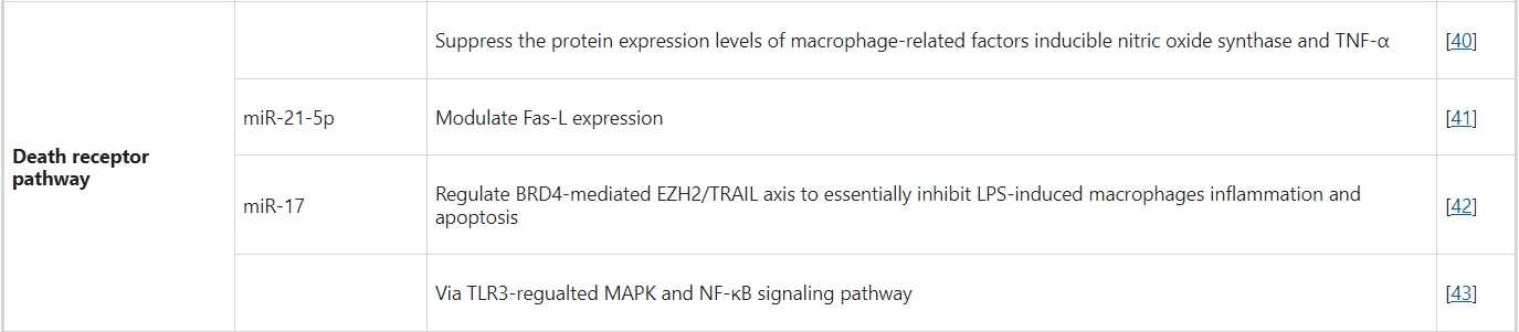 內源性途徑(死亡受體通路) 內源性途徑(死亡受體通路)