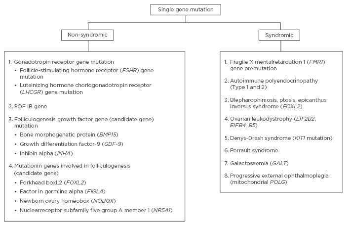 脆性X綜合征 脆性X綜合征