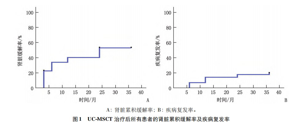 臍帶間充質(zhì)干細胞移植治療難治性狼瘡性腎炎的遠期預后分析
