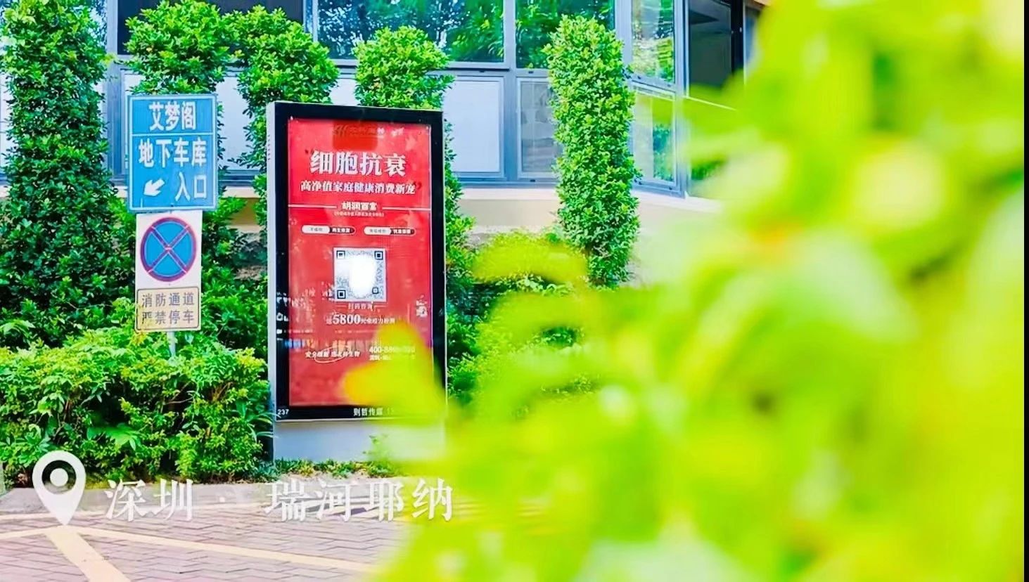 深圳的細胞治療和健康管理產(chǎn)業(yè)必將迎來(lái)更加輝煌的未來(lái)