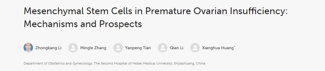 間充質(zhì)干細胞在卵巢早衰中的作用:機制與前景 間充質(zhì)干細胞在卵巢早衰中的作用:機制與前景