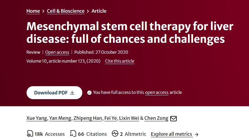 間充質(zhì)干細胞治療肝?。撼錆M(mǎn)機遇與挑戰