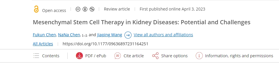 間充質(zhì)干細胞治療腎臟疾?。簼摿εc挑戰