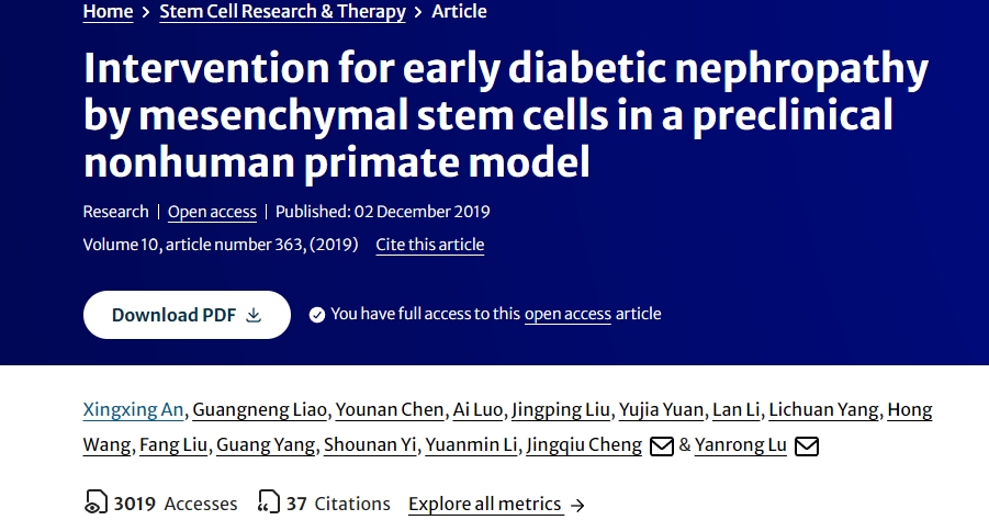 間充質(zhì)干細胞在臨床前非人類(lèi)靈長(cháng)類(lèi)動(dòng)物模型中對早期糖尿病腎病的干預