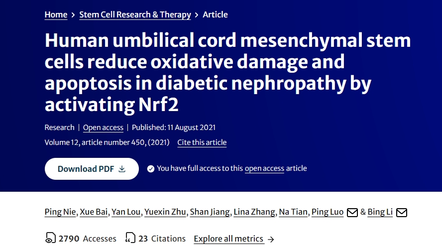 人臍帶間充質(zhì)干細胞通過(guò)激活Nrf2減少糖尿病腎病中的氧化損傷和細胞凋亡