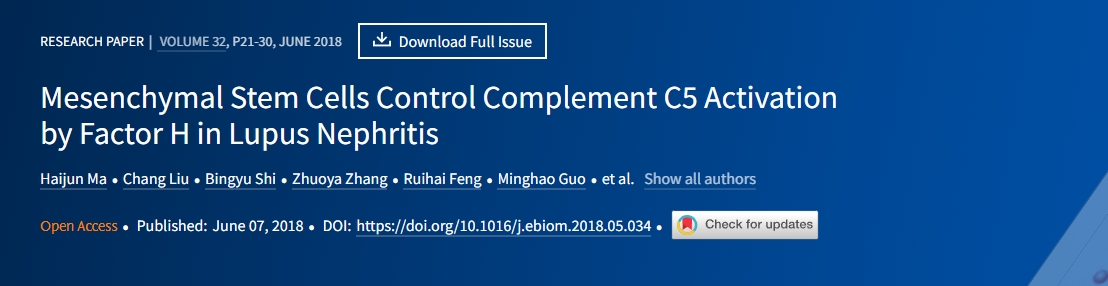 間充質(zhì)干細胞通過(guò)狼瘡性腎炎中的因子H控制補體C5的激活