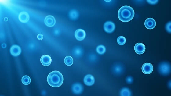 用于研究治療自閉癥的干細胞有哪些？