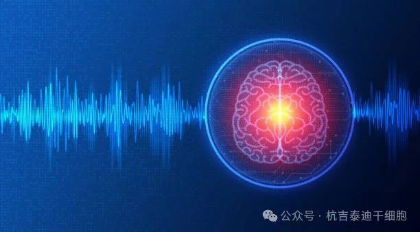 01神經(jīng)系統疾病的簡(jiǎn)介與背景