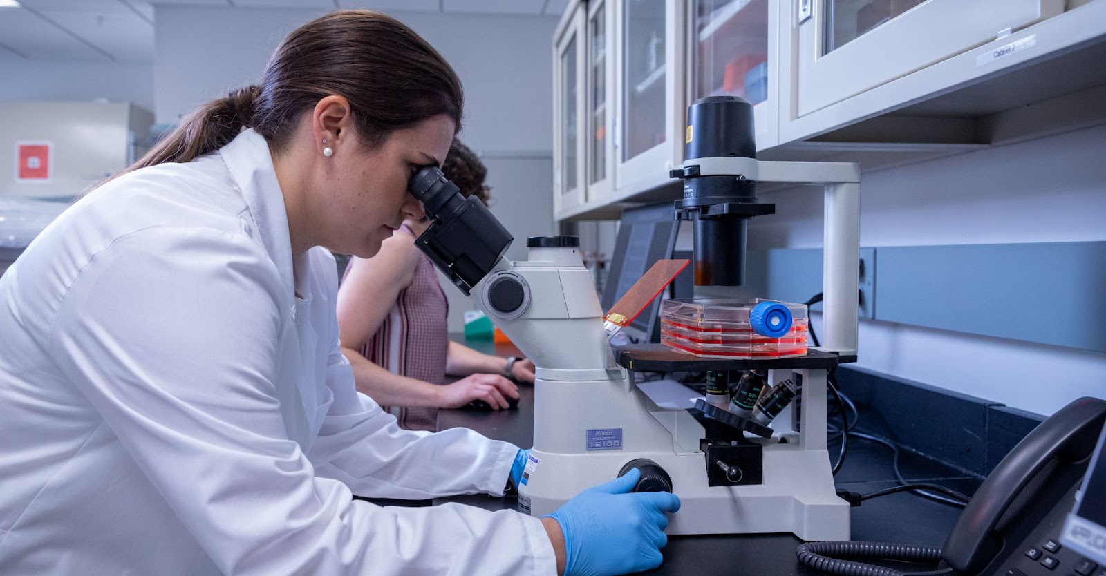 在干細胞用于治療之前，必須對其進(jìn)行適當的激活和培養。