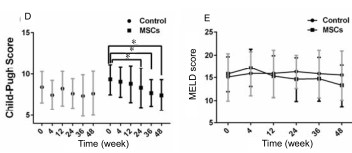 人臍帶間充質(zhì)干細胞（hUC-MSC）治療對肝硬化失代償期腹水患者腎功能、凝血功能及Child-Pugh和MELD評分的影響