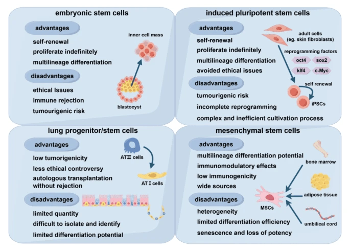 圖2：不同類(lèi)型干細胞的優(yōu)點(diǎn)和缺點(diǎn)。