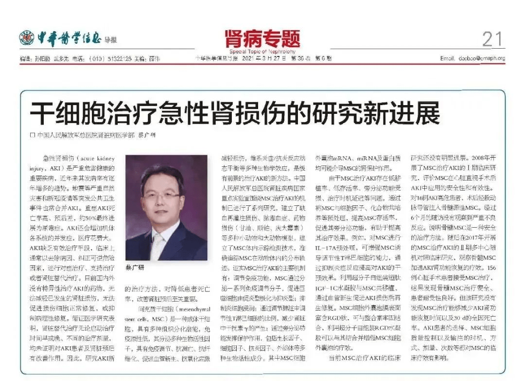 “干細胞治療急性腎損傷的研究新進(jìn)展