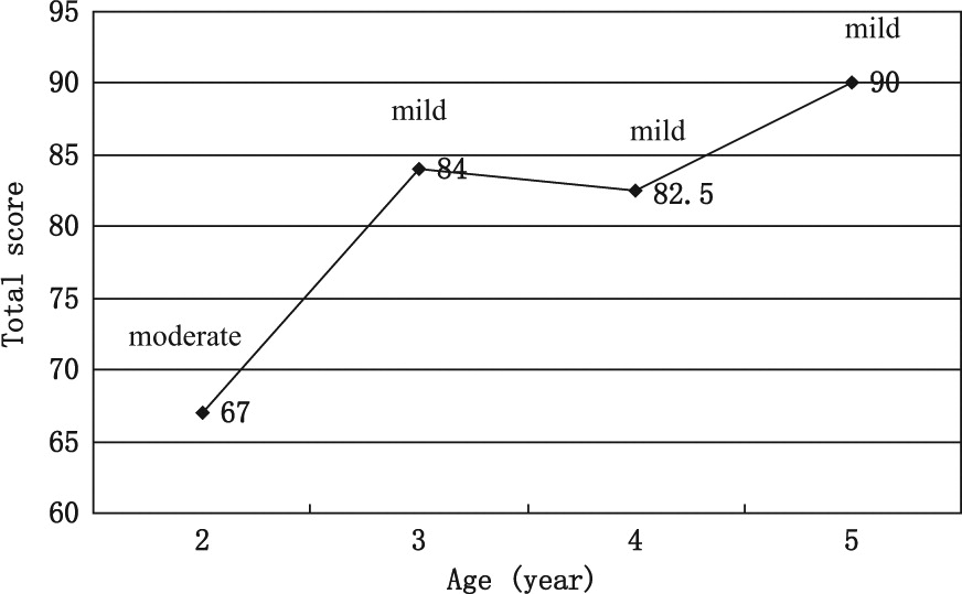 圖4.綜合功能評估總分。