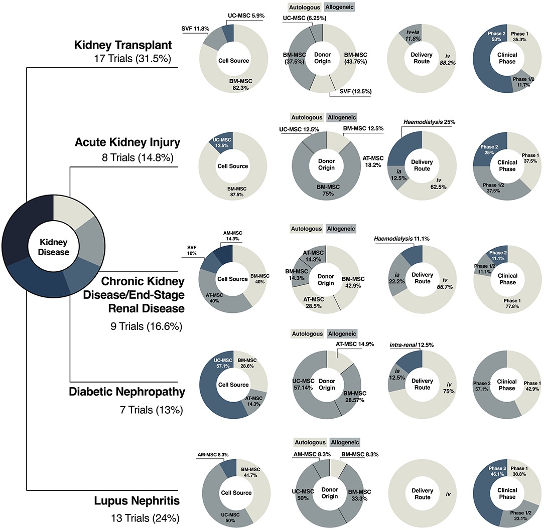 圖3：間充質(zhì)干細胞療法在腎臟疾病中的臨床轉化
