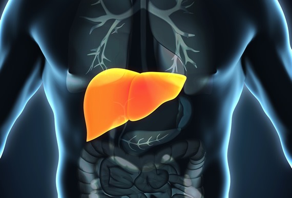 肝衰竭如何治療？干細胞治療為什么會(huì )成為修復肝衰竭的新途徑？