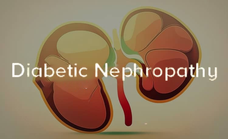 2021-2024年干細胞治療糖尿病腎病患者臨床研究進(jìn)展