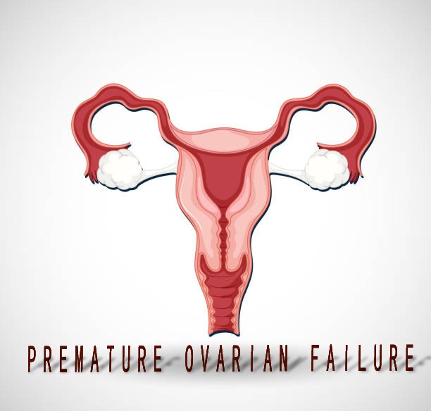 2020-2024年干細胞治療卵巢早衰患者臨床研究進(jìn)展