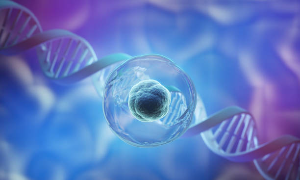 關(guān)于干細胞療法的5個(gè)誤解：科學(xué)是怎么說(shuō)的