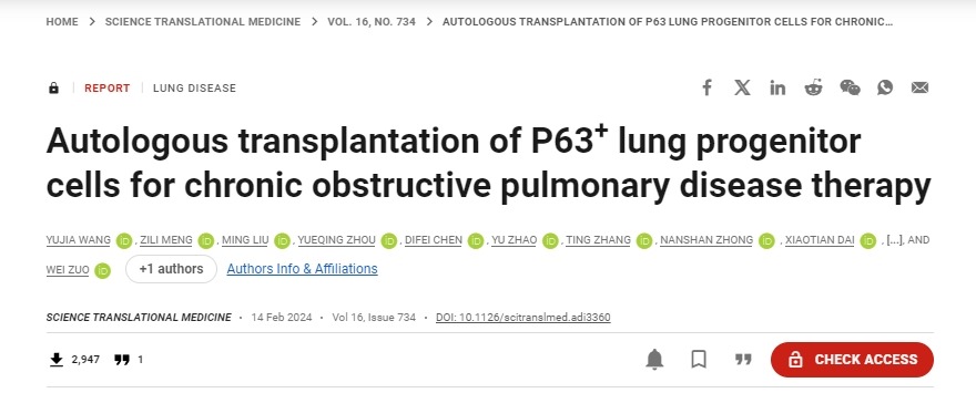移植自體P63陽(yáng)性肺前體細胞用于慢性阻塞性肺病的治療