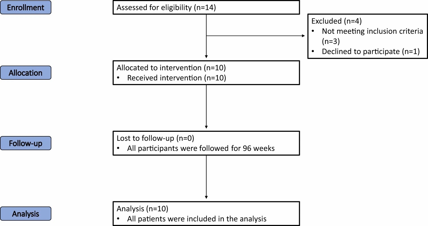 圖一：試驗各階段（招募、分配、跟進(jìn)和分析）進(jìn)展的流程圖