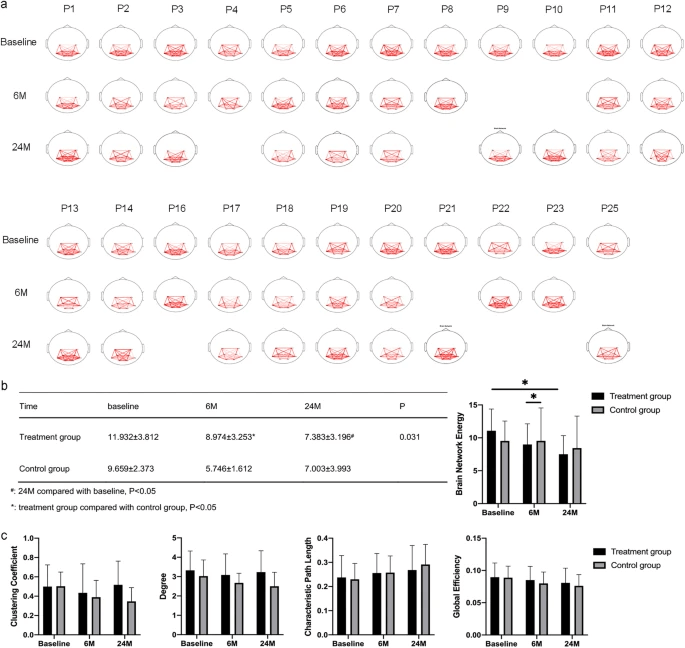 圖1：腦功能網(wǎng)絡(luò )分析