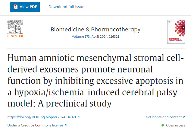 人羊膜間充質(zhì)干細胞來(lái)源的外泌體通過(guò)抑制缺氧/缺血誘導的腦癱模型中的過(guò)度細胞凋亡來(lái)促進(jìn)神經(jīng)元功能：一項臨床前研究